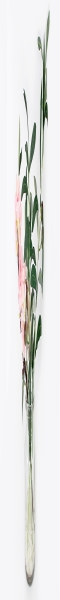 Декоративные цветы Сакура розовая и ветвь оливы в стекл.вазе